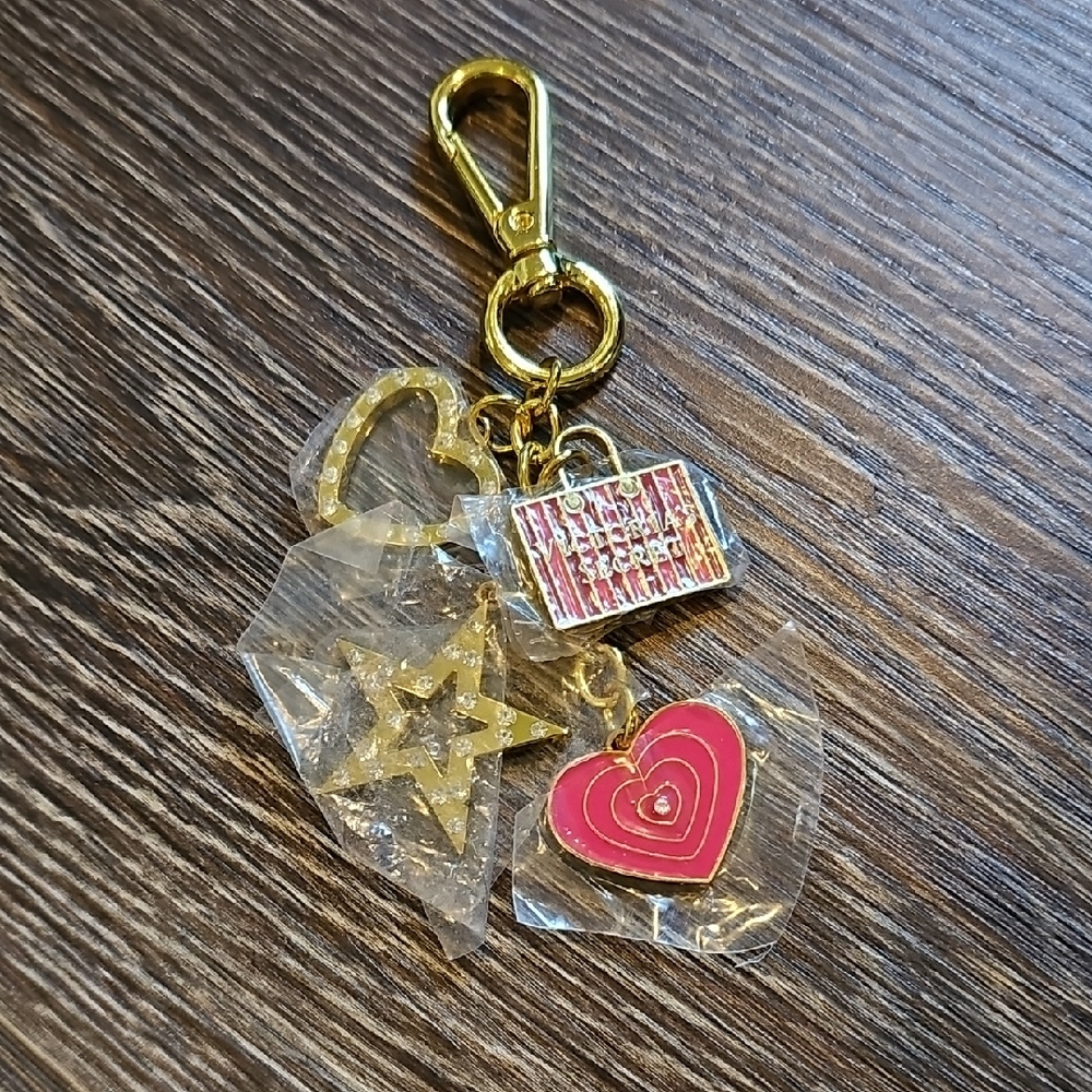 VS Keychain - Picture 2 of 4